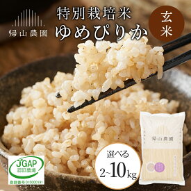 【ふるさと納税】【令和8年産 新米予約】玄米 ゆめぴりか 選べる2kg〜10kg 特別栽培米産地直送《帰山農園》知内町 ふるさと納税 米 こめ 北海道産お米 北海道米 美味しいお米 北海道産米 道産米 ふるさと納税 秋 旬