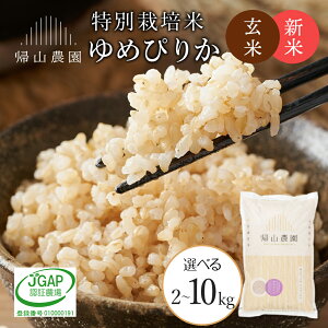 yӂ邳Ɣ[Łzyߘa7NYVė\z ߂҂肩 Iׂ2kg`10kg ʍ͔|ĎYnsAR_tm ӂ邳Ɣ[   kCY kC  kCY Y