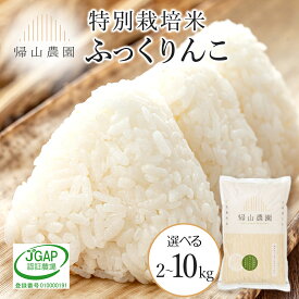 【ふるさと納税】【令和7年産】特別栽培米産地直送「ふっくりんこ」 選べる 2kg〜10kg 《帰山農園》知内町 ふるさと納税 米 こめ 北海道産お米 北海道米 美味しいお米 北海道産米 道産米 ふるさと納税 秋 旬