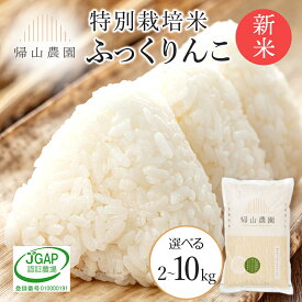 【ふるさと納税】【令和7年産新米予約】特別栽培米産地直送「ふっくりんこ」 選べる 2kg〜10kg 《帰山農園》知内町 ふるさと納税 米 こめ 北海道産お米 北海道米 美味しいお米 北海道産米 道産米 ふるさと納税 秋 旬
