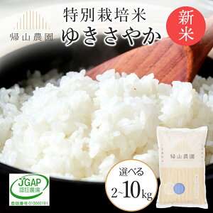 yӂ邳Ɣ[Łz yߘa7NYVė\zʍ͔|ĎYn 䂫₩ Iׂ2kg`10kg sAR_tm ӂ邳Ɣ[   kCY kC  kCY Y 