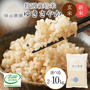 yӂ邳Ɣ[Łzyߘa7NYVė\z 䂫₩ Iׂ2kg`10kg ʍ͔|ĎYnsAR_tm ӂ邳Ɣ[   kCY kC  kCY Y