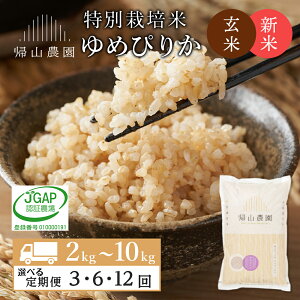 yӂ邳Ɣ[Łzyߘa7NYVė\zyIׂցzʍ͔|ĎYn  ߂҂肩 Iׂ2kg`10kg sAR_tm ӂ邳Ɣ[   kCY kC 