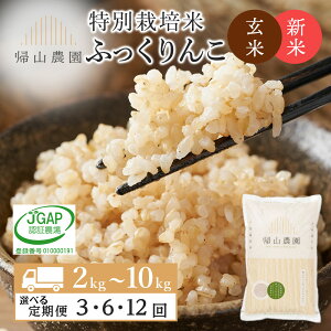 yӂ邳Ɣ[Łzyߘa7NYVė\zyIׂցzʍ͔|ĎYn  ӂ Iׂ2kg`10kg sAR_tm ӂ邳Ɣ[   kCY kC 