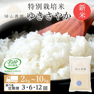 yӂ邳Ɣ[Łzyߘa7NYVė\zyIׂցz  䂫₩ 2kg`10kg ʍ͔|ĎYnsAR_tm ӂ邳Ɣ[   kCY kC 