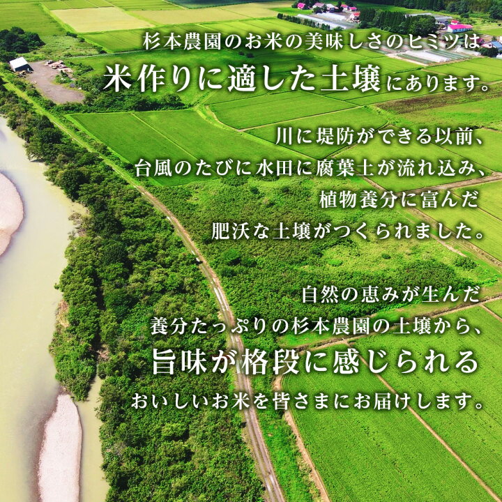 知内町 【】 【令和7年産新米先行受付】【定期便 12カ月】ゆめぴりか 10kg《杉本農園》 👠