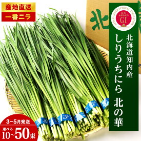【ふるさと納税】【2027年発送予約】知内産 1番ニラ！！「北の華」選べる10束〜50束【JA新はこだて】ニラ 野菜 にら 北海道産 北の華 知内町 ふるさと納税
