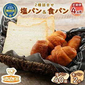 【ふるさと納税】4カ月 定期便 コッペん道土 塩パン 食パン 詰合せ　【定期便・パン・食パン】