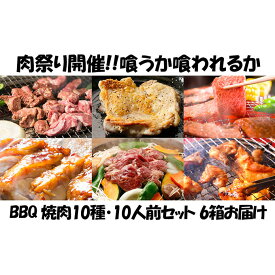 【ふるさと納税】肉祭り開催！BBQセット　～焼肉10種　10人前コース～　6箱セット　【定期便・お肉・牛肉・焼肉・バーベキュー・肉の加工品】