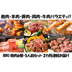 【ふるさと納税】【2カ月連続】エンジョイ！BBQセット　～焼肉6種　5人前コース～　【定期便・お肉・牛肉・焼肉・バーベキュー・肉の加工品】