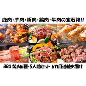 【ふるさと納税】【6カ月連続】エンジョイ！BBQセット　～焼肉6種　5人前コース～　【定期便・お肉・牛肉・焼肉・バーベキュー・肉の加工品】