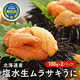 【ふるさと納税】先行予約 うに 塩水 ムラサキウニ 200g （100g×2） 北海道 生ムラサキウニ 雲丹　【 ウニ 塩水うに 塩水ウニ 生うに 海鮮 魚介 魚介類 うに丼 ウニ丼 手巻 寿司 海鮮丼 国産 グルメ 】　お届け：2024年6月上旬～7月下旬