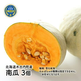 【ふるさと納税】 先行予約 北海道 木古内町産 南瓜 3個　【 野菜 やさい ベジタブル かぼちゃ カボチャ 食材 緑黄色野菜 カロテン 北海道産 産地直送 煮物 サラダ 天ぷら 】　お届け：2024年9月下旬～11月中旬まで