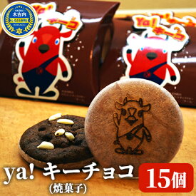 【ふるさと納税】ya !キーチョコ（焼菓子）　15個　　【 お菓子 スイーツ おやつ 黒米 最中の皮 器 木古内産 米 お米を使ったお菓子 チョコ味 こども 北海道 ゆるキャラ キーコ 】