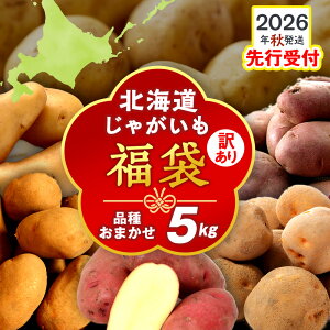 yӂ邳Ɣ[Łzy2026N10IzkCY Ⴊ 󂠂 5kgqHR_r "y݃_"  [NC m[Ur[ bh[ kC kC A |eg 