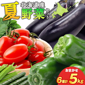 yӂ邳Ɣ[Łzy2025NĔzHR_̂߉Ė؃Zbg5kg 5 ؋lߍ킹y _ C { kCӂ邳Ɣ[ ،Ó ӂ邳Ɣ[ kC