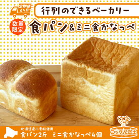 【ふるさと納税】定期便 6ヵ月 北海道 食パン 2斤 ミニ食かなっぺ 4個 セット 北海道産 小麦 春よ恋 パン トースト カナッペ 手作り 自家製 焼きたて ベーカリー 朝食 朝ごはん モーニング 冷凍 お取り寄せ 自家用 ギフト 贈答用 送料無料 木古内 木古内町