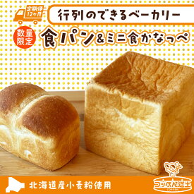 【ふるさと納税】定期便 12ヵ月 北海道 食パン ミニ食かなっぺ セット 北海道産 小麦 春よ恋 パン トースト 手作り 自家製 焼きたて 酵母 ベーカリー 朝ごはん 軽食 モーニング 道の駅 冷凍 お取り寄せ 人気 自家用 ギフト 贈答用 送料無料 木古内 木古内町