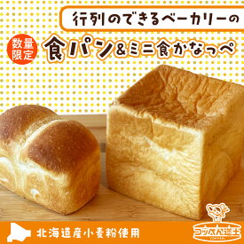 【ふるさと納税】北海道 食パン ミニ食かなっぺ セット 北海道産 小麦 春よ恋 パン トースト 手作り 自家製 焼きたて 酵母 ベーカリー 朝ごはん 軽食 モーニング 道の駅 冷凍 お取り寄せ 人気 自家用 ギフト 贈答用 コッぺん道土 送料無料 木古内 木古内町