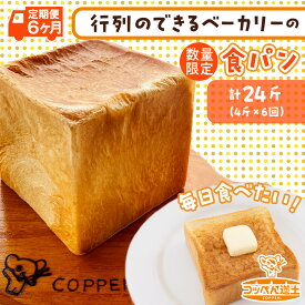 【ふるさと納税】定期便 全6回 北海道 こだわり 食パン 4斤 北海道産 小麦 パン トースト 手作り 自家製 焼きたて 酵母 ベーカリー 朝食 朝ごはん 軽食 モーニング 道の駅 冷凍 グルメ お取り寄せ 人気 行列 自家用 ギフト 贈答用 送料無料 木古内 木古内町