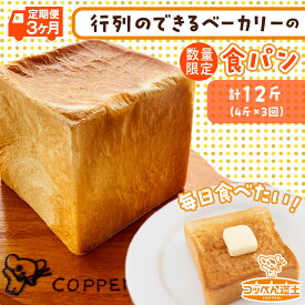 【ふるさと納税】定期便 全3回 北海道 こだわり 食パン 4斤 北海道産 小麦 パン トースト 手作り 自家製 焼きたて 酵母 ベーカリー 朝食 朝ごはん 軽食 モーニング 道の駅 冷凍 グルメ お取り寄せ 人気 行列 自家用 ギフト 贈答用 送料無料 木古内 木古内町