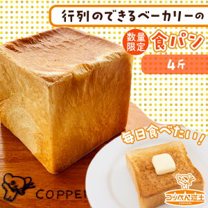 yӂ邳Ɣ[ŁzkC  Hp 4 kCY  p g[Xg  Ɛ Ă y x[J[ H ͂ yH [jO ̉w Ⓚ O  lC s