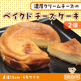 【ふるさと納税】北海道 濃厚クリームチーズのベイクドチーズケーキ 2個 チーズケーキ クリームチーズ 濃厚 ホール ケーキ 洋菓子 焼き菓子 スイーツ デザート おやつ 道の駅 冷凍 お取り寄せ ベーカリーギフト 贈答用 送料無料 木古内 木古内町