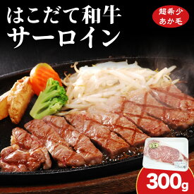 【ふるさと納税】北海道 はこだて和牛 サーロイン 300g 和牛 あか牛 お肉 牛肉 肉 ビーフ 赤身 霜降り 国産 焼肉 焼き肉 ステーキ BBQ バーベキュー ギフト 冷凍 お取り寄せ ご当地 グルメ ギフト 久上工藤商店 牛 肉 お肉 赤牛