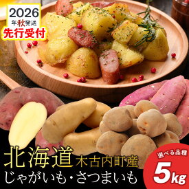 【ふるさと納税】【2026年10月発送！】【秋山農園】北海道産 選べる品種 ジャガイモ さつまいも 5kg きたあかり メークイン レッドムーン シルクスイート野菜 いも 芋 じゃがいも さつま芋 北海道ふるさと納税 木古内町 ふるさと納税 北海道