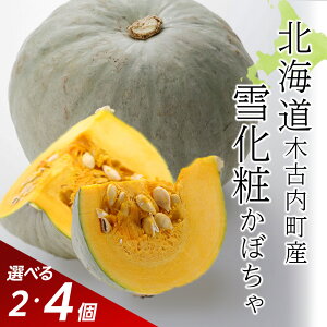 yӂ邳Ɣ[ŁzyHR_zkCY ڂ ቻ Iׂ2E4Z قق  { H kCӂ邳Ɣ[ ،Ó ӂ邳Ɣ[ kC