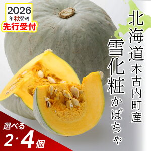 yӂ邳Ɣ[ŁzyHR_zkCY ڂ ቻ Iׂ2E4Z قق  { H kCӂ邳Ɣ[ ،Ó ӂ邳Ɣ[ kC