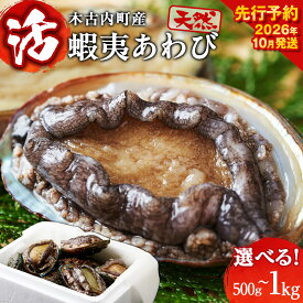 【ふるさと納税】【2026年10月以降発送】活あわび 選べる500g〜1kg 木古内産アワビ 天然 北海道 鮑 あわび 貝 海鮮 お刺身 ステーキ 高級食材 お取り寄せ グルメ 産地直送 酒の肴 【配送不可地域：離島】北海道ふるさと納税 木古内町 ふるさと納税 北海道