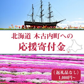 【ふるさと納税】北海道 木古内町☆応援寄付金☆ 選べる応援寄付金【返礼品なし】北海道ふるさと納税 木古内町 ふるさと納税 北海道 寄付のみ 返礼品なし