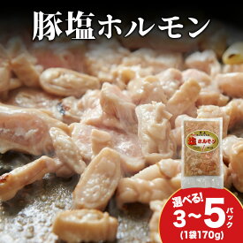【ふるさと納税】【久上 工藤商店】味付け豚ホルモン（塩） 選べる3袋〜5袋 1袋170g入味付き ホルモン 豚肉 焼肉 肉 お肉 北海道ふるさと納税 木古内町 ふるさと納税 北海道
