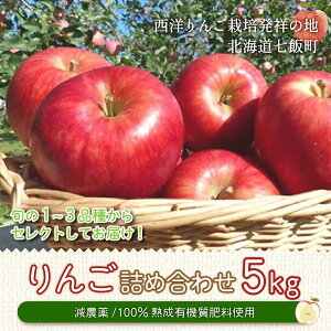 yӂ邳Ɣ[Łz kCђY  5kg L@엿gp y kCђ  _ L@엿 N I[KjbN e z NAR002