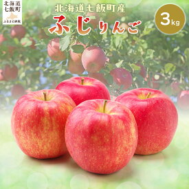 【ふるさと納税】【2025年12月下旬以降発送】ふじ3kg 【ふるさと納税 人気 おすすめ ランキング りんご リンゴ 林檎 ふじ 3kg 七飯町産 北海道 七飯町 送料無料】 NAJ005