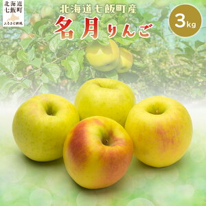 【ふるさと納税】【2025年12月上旬以降発送】名月3kg 【ふるさと納税 人気 おすすめ ランキング りんご リンゴ 林檎 名月 3kg 七飯町産 北海道 七飯町 送料無料】 NAJ006