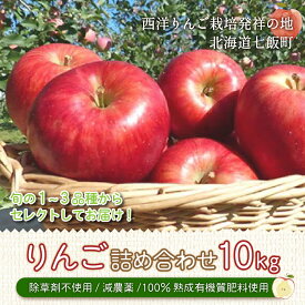 【ふるさと納税】【先行予約】減農薬 有機質肥料使用 北海道七飯町産りんご 10kg