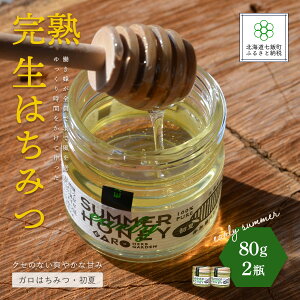 【ふるさと納税】完熟生はちみつ ガロはちみつ・初夏(アカシア)(80g)2瓶セット お料理にも使える ハチミツ 蜂蜜 パン ヨーグルト ハニー 健康 NAAB001
