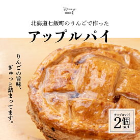 【ふるさと納税】北海道産りんごをたっぷり！サクサクのアップルパイ2個セット りんご リンゴ アップル アップルパイ セット おやつ スイーツ ジャム 手土産 贈答 送料無料 NAAA001