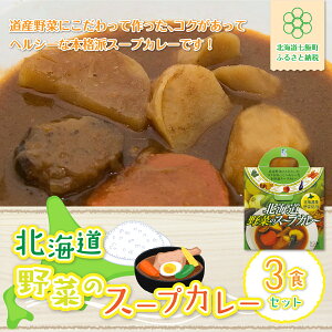 【ふるさと納税】【北海道野菜のスープカレー】3食セット 北海道産野菜使用