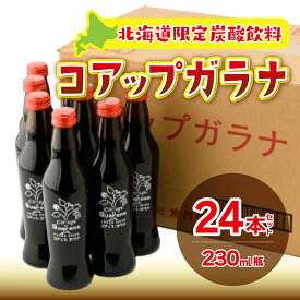 【ふるさと納税】 コアップガラナ24本セット（230ml瓶） ふるさと納税 コアップガラナ ガラナ 230ml×24本入 瓶 24本 NAQ004