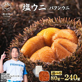 【ふるさと納税】 【選べる内容量】 ウニ バフンウニ 80g～240g 塩ウニ 塩蔵うに ミョウバン不使用 うに ごはんのお供 うに丼 海鮮丼 パスタ おにぎり 珍味 魚介 冷凍 送料無料