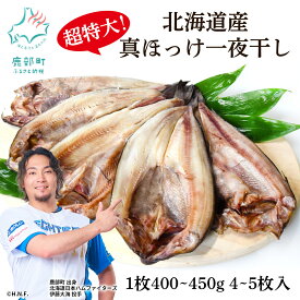 【ふるさと納税】 【選べる】 ほっけ 真ほっけ一夜干し 4枚入 5枚入 約400〜450g 北海道 ホッケ 真ほっけ 一夜干し 干物 焼き魚 おつまみ 晩酌 ご飯のお供 海鮮 魚介類 送料無料 冷凍 特大 内容量が選べる