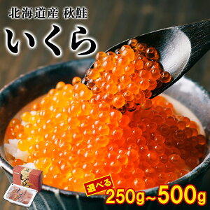 yӂ邳Ɣ[Łz yIׂeʁz  kC 250g`500g  ݖЂ  H   瘥 2F ɂ瘥 ґ 芪i CN炵 Ă܂i 炵 ɂ