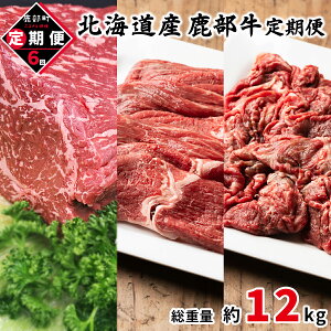 yӂ邳Ɣ[Łz    ubN ؂藎Ƃ S6 dʖ12kg ͂ kCY  Ԑg ԐgĂ Ԃ [Xgr[t r[tV`[ Y Ⓚ