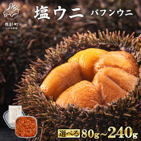 【ふるさと納税】 【選べる内容量】 ウニ バフンウニ 80g～240g 塩ウニ 塩蔵うに ミョウバン不使用 うに ごはんのお供 うに丼 海鮮丼 パスタ おにぎり 珍味 魚介 冷凍 送料無料