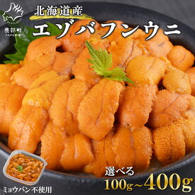 【ふるさと納税】 【選べる内容量】 北海道産 うに エゾバフンウニ 100g〜400g ふり塩うに ミョウバン不使用 ウニ 雲丹 冷凍 バフンウニ うに丼 手巻き寿司 海鮮丼 うにいくら丼 パスタ おつまみ ご飯のお供 酒の肴 送料無料