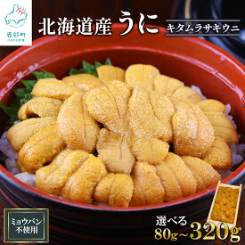 【ふるさと納税】 【選べる内容量】北海道産 うに ミョウバン不使用 折り 折詰 木箱 キタムラサキウニ ふり塩うに 80g～320g 雲丹 ウニ 岩塩 ウニ丼 海鮮丼 魚介 海産物 冷凍 送料無料