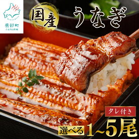 【ふるさと納税】 【選べる内容量 発送月】 国産 うなぎ 蒲焼き 1〜5尾 タレ付き 鹿児島 鰻 ウナギ 鰻蒲焼 惣菜 レンチン 時短 ご飯のお供 真空 冷凍 レンジ 簡単 便利 お取り寄せ 夏 お中元 ギフト 送料無料